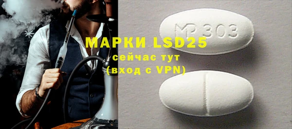 ГАЛЛЮЦИНОГЕННЫЕ ГРИБЫ Каменка