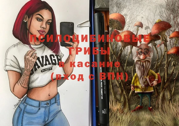 дживик Каменногорск