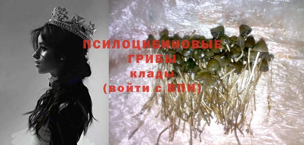твердый Кодинск