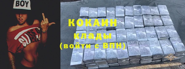твердый Кодинск